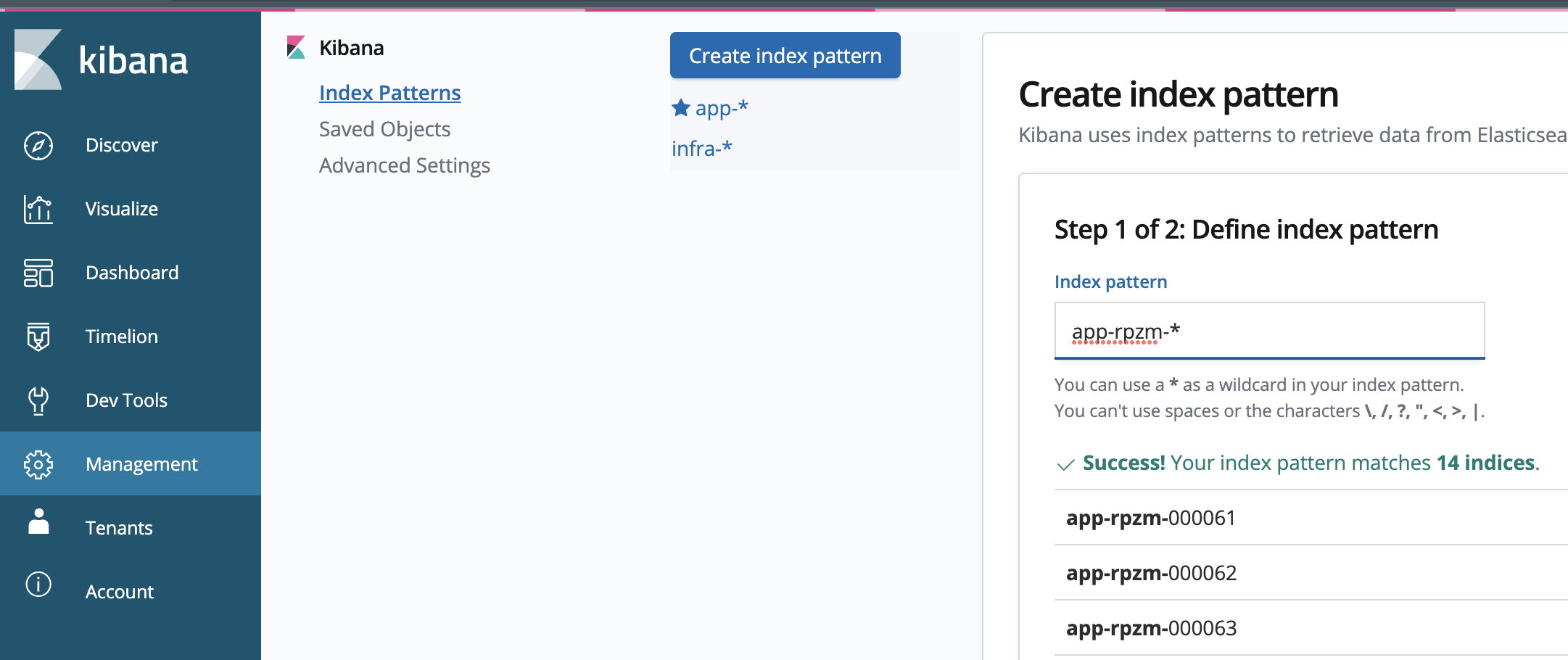 index pattern 1