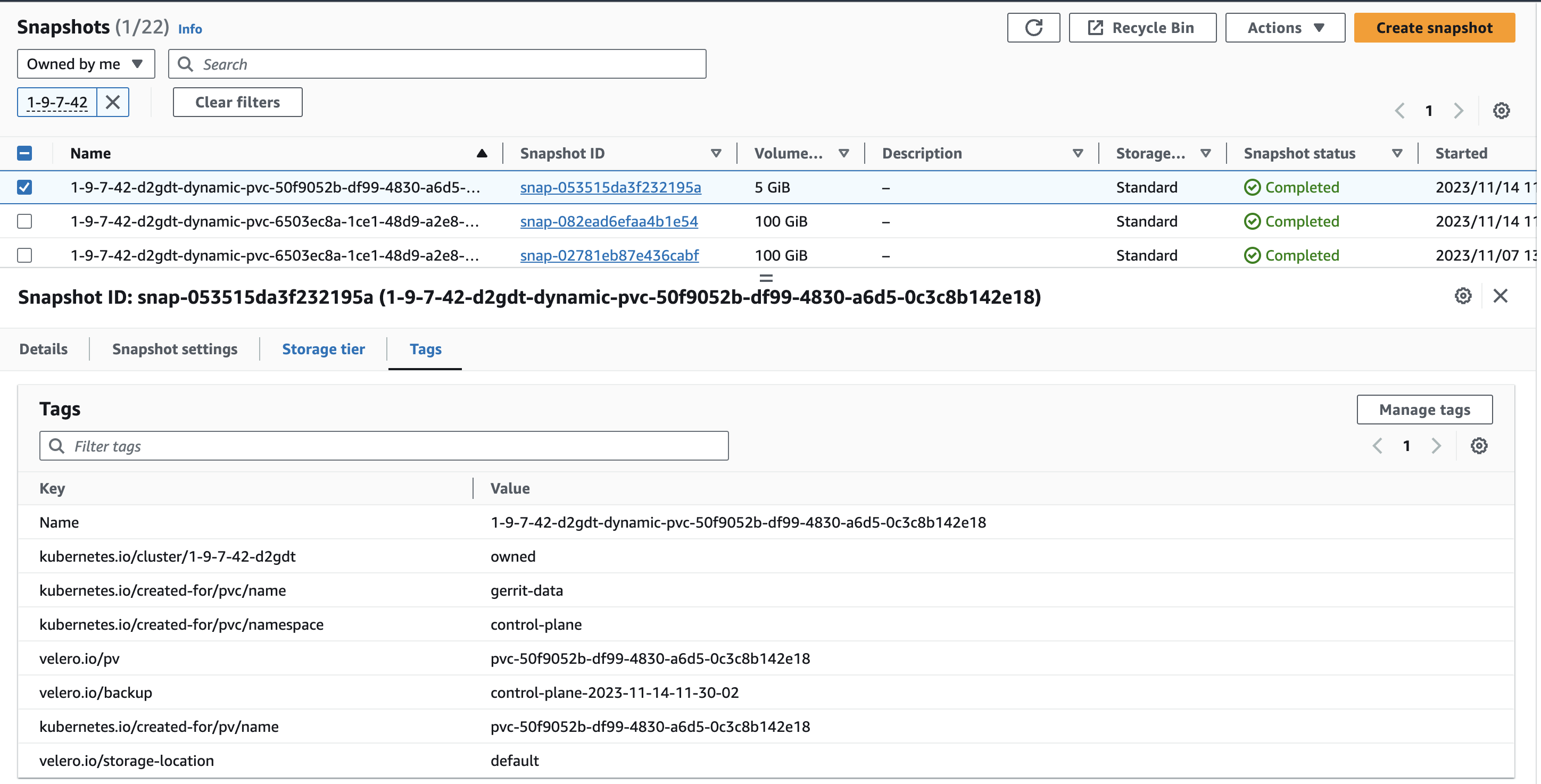 ebs snapshot tag view